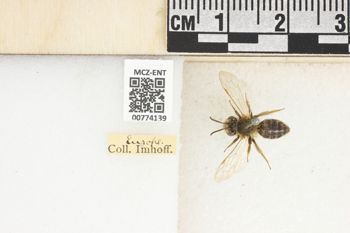 Media type: image;   Entomology 774139 Aspect: Labels
